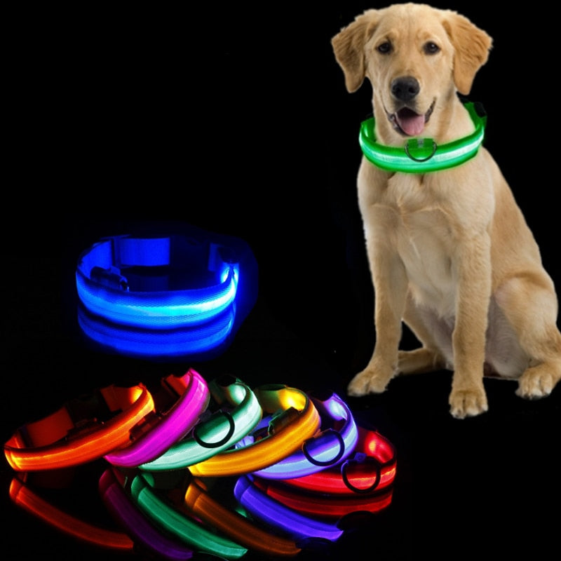 LED Dog Collar Light: Anti-Lost Night Safety