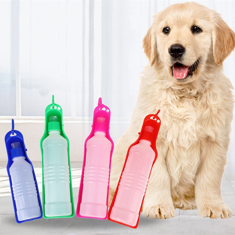 Foldable Pet Water Bottle: Portable and Travel-friendly